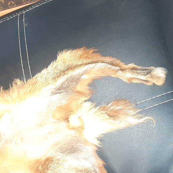 VINTAGE REAL FOX FUR FULL LENGTH SCARF MINT CONDITION - Picture 6 of 9